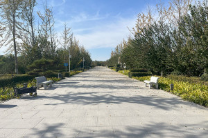 固安施孝生态文化陵园园区道路图