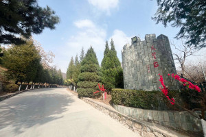 墓地信息网秦先生对景仰园的评价