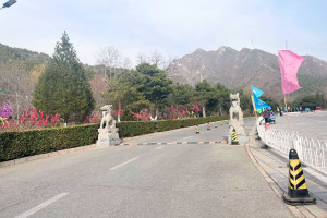 北京市昌平区景仰园园区道路图