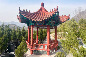 墓地信息网高女士对景仰园的评价