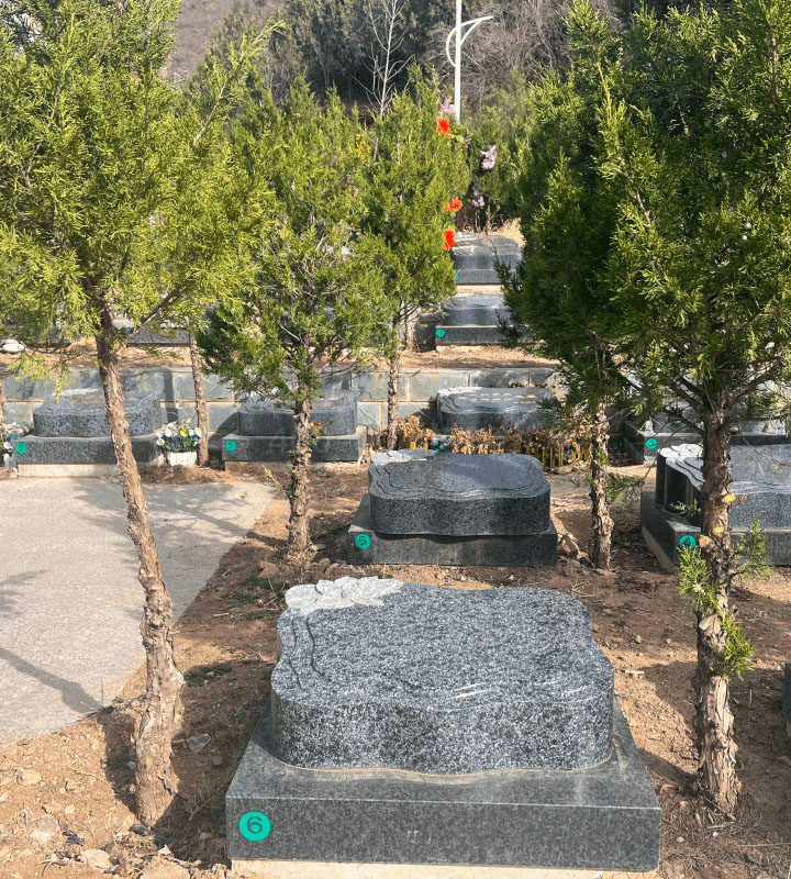 北京市昌平区景仰园传统卧碑树葬墓型2号