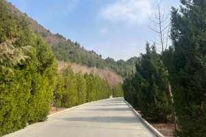 北京市昌平区景仰园园区道路图