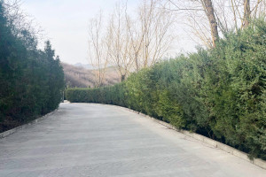 北京市昌平区景仰园园区道路图