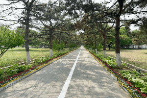 北京市朝阳区朝阳陵园园区道路图