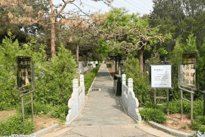北京市朝阳区朝阳陵园墓区环境图