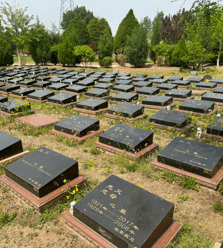 北京市朝阳区长青园骨灰林传统卧碑墓型1号