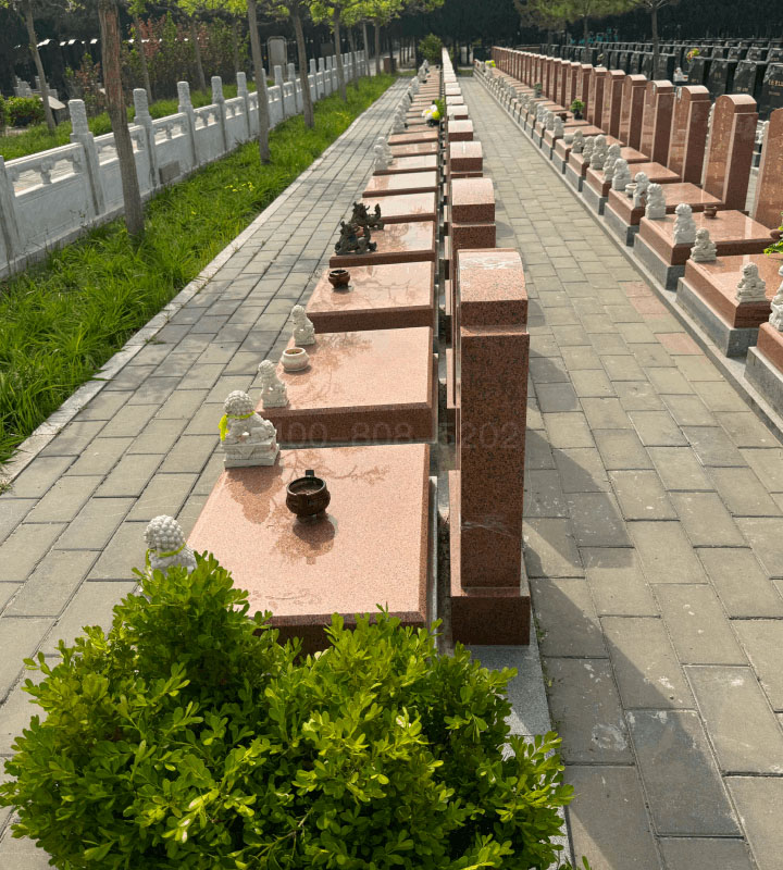 北京市朝阳区朝阳陵园传统立碑墓型5号