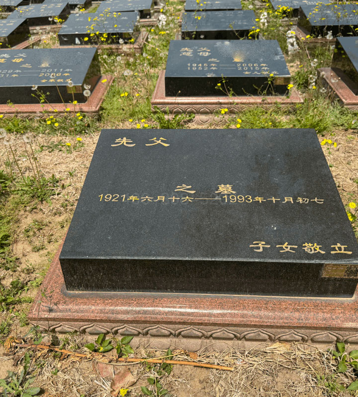 北京市朝阳区长青园骨灰林传统卧碑墓型1号