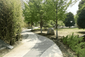 北京市朝阳区长青园骨灰林园区环境图