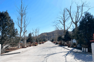 三河市灵山宝塔陵园园区道路图