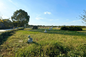 上海市金山区松隐山庄园区环境图