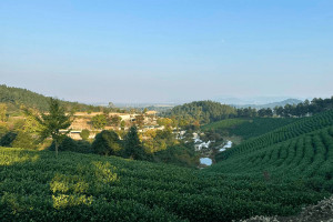 湖州市安吉县安吉龙山源园区环境图