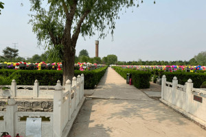 北京市大兴区天堂公墓墓区环境图