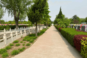 北京市大兴区天堂公墓墓区环境图