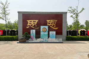 北京市大兴区天堂公墓墓区环境图
