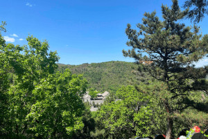 北京市海淀区金山陵园园区环境图