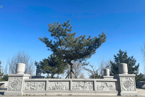 北京市海淀区长安园公墓精美石雕图