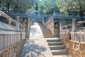 北京市海淀区西山骨灰林墓区环境图