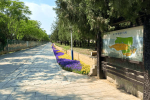 北京市丰台区太子峪陵园园区环境图
