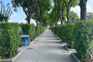 上海市浦东区长桥山庄园区环境图