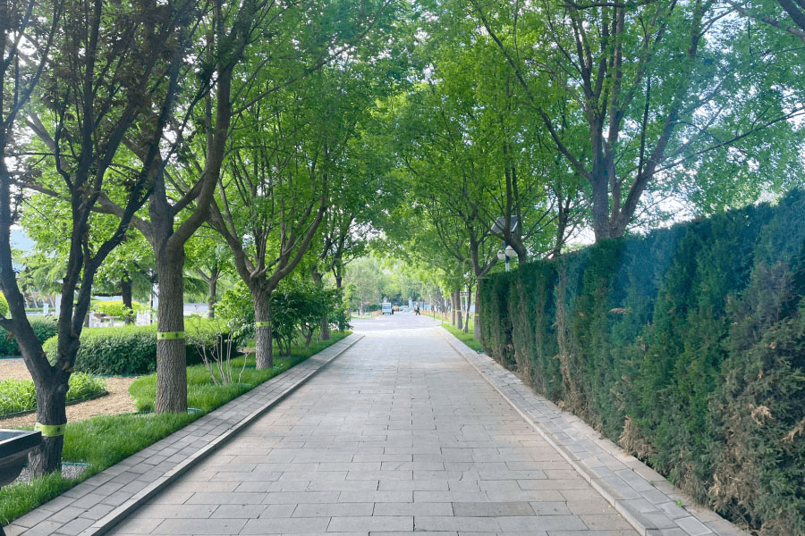 北京市海淀区万安公墓园区环境图