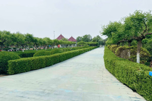 北京丰台区思亲园陵园墓区环境图