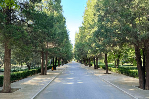 北京市顺义区潮白陵园园区道路图