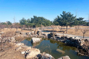 北京市海淀区长安园公墓园区湖景图