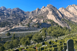 北京市海淀区西山公墓墓区环境图