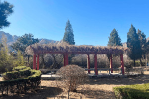 北京市海淀区长安园公墓园区环境图