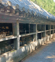 北京市海淀区西山骨灰林传统壁葬墓型3号
