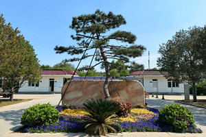 北京市丰台区太子峪陵园园区环境图