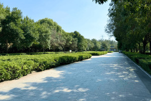 天津市西青区玉佛寺寝宫园区环境图