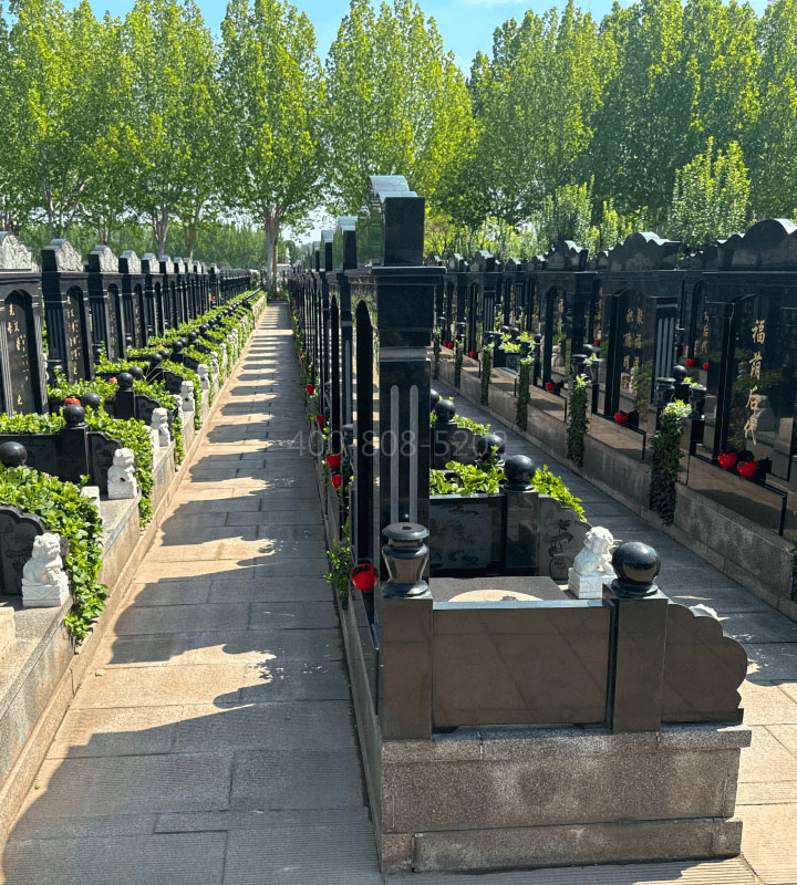 天津西青区万寿园公墓传统立碑墓型5号