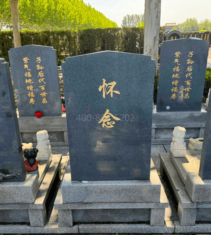 天津西青区万寿园公墓传统立碑墓型3号