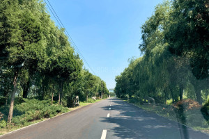 河北霸州市兰生园公墓园区道路图