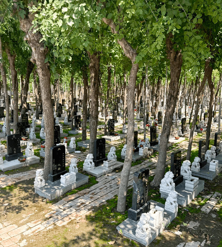 天津西青区万寿园公墓传统立碑墓型7号
