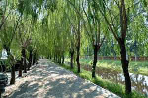 河北霸州市兰生园公墓园区环境图
