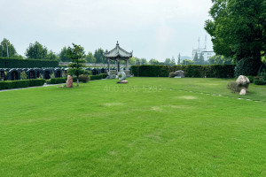 上海市青浦区卫家角息园墓区环境图