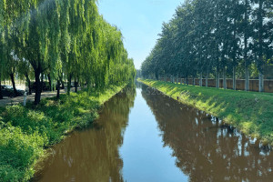 河北霸州市兰生园公墓园区水景图