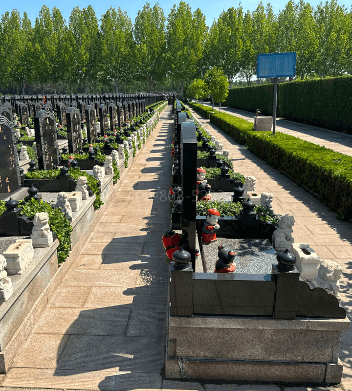 天津西青区万寿园公墓传统立碑墓型8号