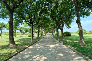 上海市青浦区淀山湖归园园区环境图