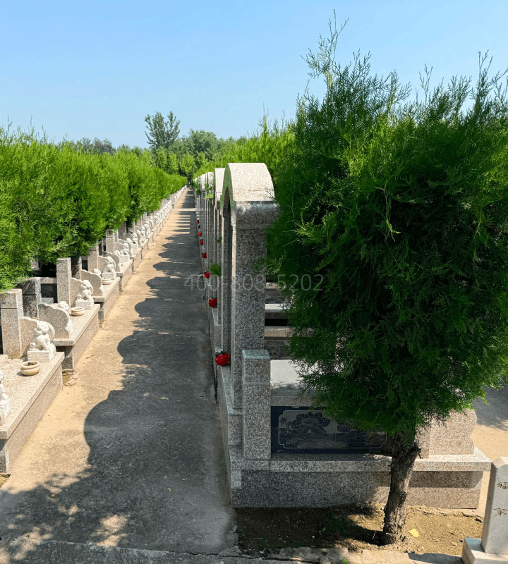 河北霸州市兰生园公墓传统立碑墓型6号树葬
