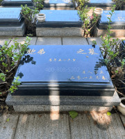 天津西青区万寿园公墓传统卧碑墓型1号
