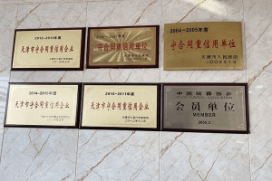 天津市宁河县永定塔陵荣誉资质
