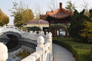 天津市西青区西城寝园园区环境图