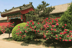 天津市宁河县永定塔陵园区建筑图