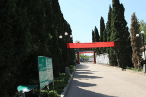 郑州市二七区云鹤生态艺术陵园园区道路图