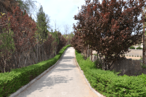郑州市荥阳市邙山生态陵园园区环境图