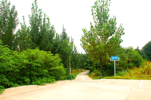郑州市惠济区净土生态园园区环境图